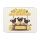 Recherche de citron magnets Vert jaune