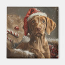 Zoek naar vizsla magneten Hond