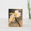 Recherche de orchidee vœux cartes Pour tous