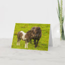 Recherche de poney shetland vœux cartes Poulain