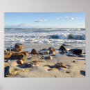 Recherche de nouvelle angleterre posters Plage