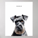 Recherche de schnauzer standard posters Mère de chien