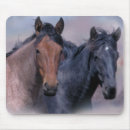 Recherche de chevaux sauvages tapis souris Poulain
