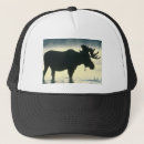 Recherche de taureaux casquettes Animaux