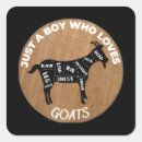 Recherche de boucherie autocollants Viande