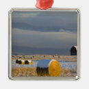 Zoek naar schuur ornamenten Landbouw