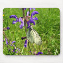 Recherche de papillon noir tapis souris Bogue