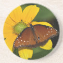 Recherche de reine dessous de verres Papillon
