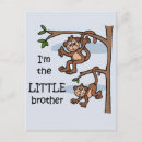 Recherche de petit singe cartes postales Singes