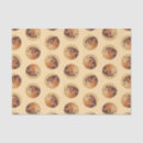 Recherche de peinture chevalier Oiseau