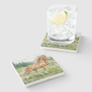 Recherche de cheval islandais dessous de verres Poney