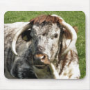Recherche de longhorn tapis souris Bétail de longhorn