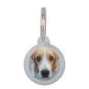 Recherche de partie animaux articles Chiot