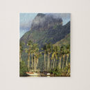 Recherche de bora puzzles Île