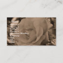 Recherche de sepia cartes visite Roses