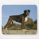 Recherche de cannine tapis souris Chien