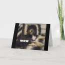 Recherche de chien portugais cartes postales Pour tous