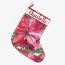 Recherche de fleur rouge chaussette de noël Aquarelle