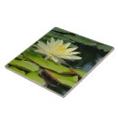 Zoek naar lotus tegels Bloesem
