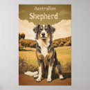 Recherche de bergers australiens posters Amoureux des chiens