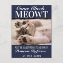 Recherche de chats bleus cartes postales Pour animaux