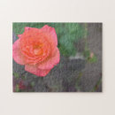 Recherche de corail puzzles Nature
