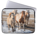 Zoek naar palomino elektronica Pinto