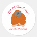 Zoek naar orang oetan stickers Aap