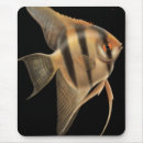Recherche de eau douce tapis souris Poissons