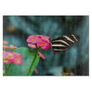 Recherche de beaux papillons planches à découper Nature