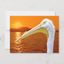 Recherche de cor cartes postales Nature