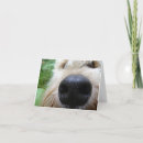 Zoek naar hond neus kaarten Gezicht