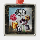 Zoek naar tulp ornamenten Flora