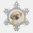 Recherche de tibétain ornements Dog