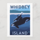 Recherche de orca posters Presse