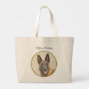 Recherche de de malinois Dog