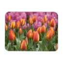 Recherche de appelé magnets Cindy miller hopkins