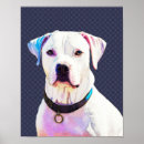 Recherche de chien blanc posters Dog