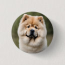 Recherche de chow chow accessoires Animaux domestiques