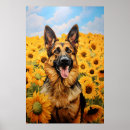 Zoek naar duitse herdershond posters Huisdier