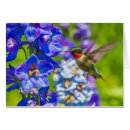 Recherche de vol plané vœux cartes Colibri