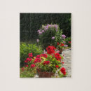 Zoek naar geraniums puzzels Zomer