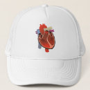 Recherche de anatomie casquettes Coeur anatomique