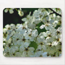 Recherche de poire tapis souris Botanique