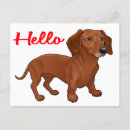 Recherche de dachshund cartes postales Pour elle