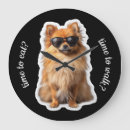 Zoek naar pomeranian kunst Schattig