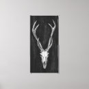 Recherche de crâne animal posters Cerfs communs