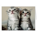 Recherche de animal familier photographie Animaux familiers