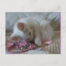 Recherche de little girl cartes postales Chat