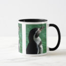 Recherche de humboldt tasses Faune